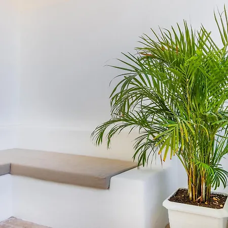 Giritimu B'yaz לינה וארוחת בוקר *