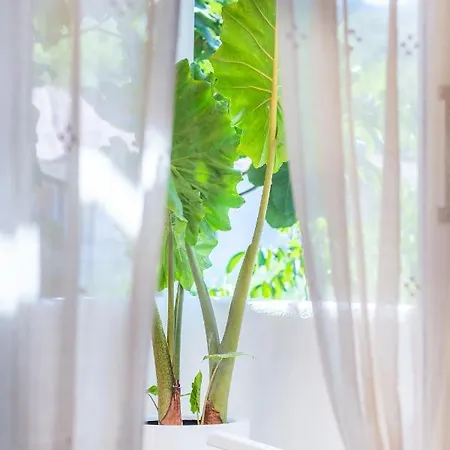 Giritimu B'yaz Bed & Breakfast *