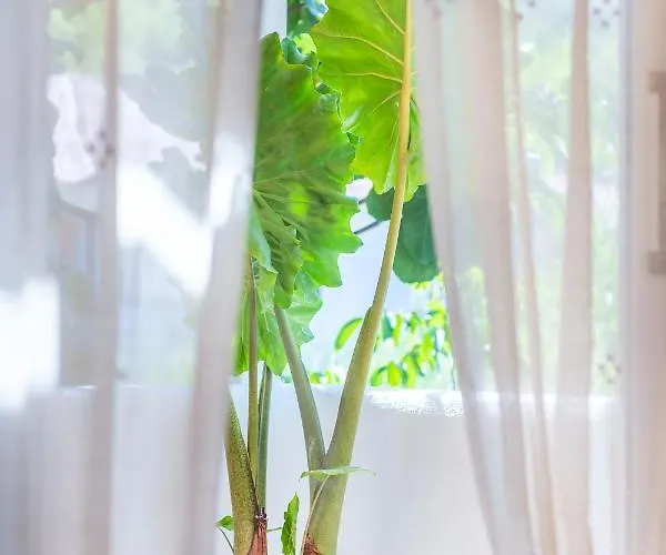 Giritimu B'yaz Bed & Breakfast *