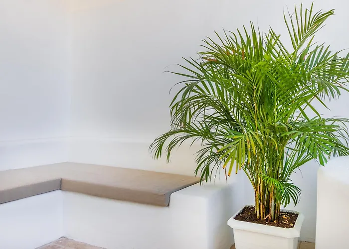 Giritimu B'yaz Bed & Breakfast *